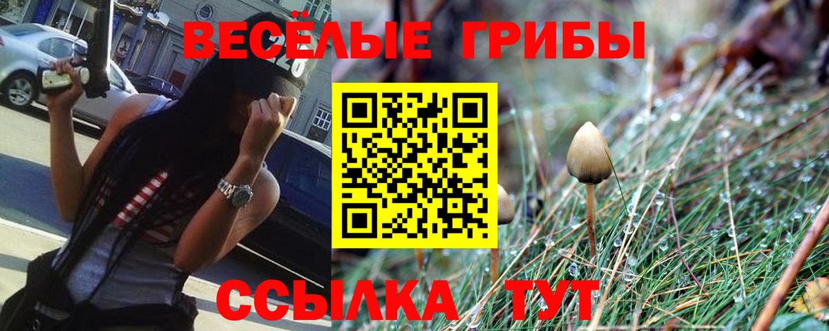 Псилоцибиновые грибы Cubensis  купить наркоту  Ртищево  Вход с VPN 